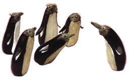 Auberginenpinguine