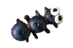 Blaubeerschokoameise