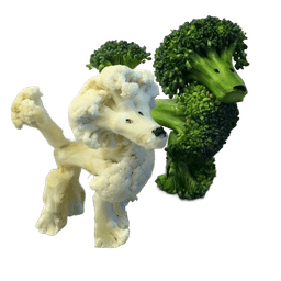 Brokkoliblumenkohlhund