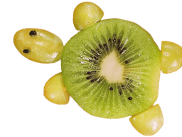 Kiwiweintraubenschnecke