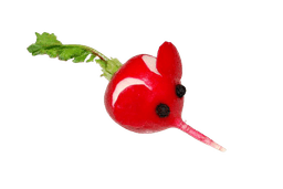 Radieschenmaus